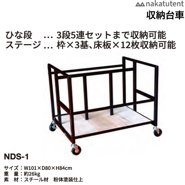NDS-1