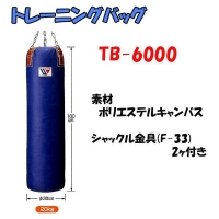 TB-6000