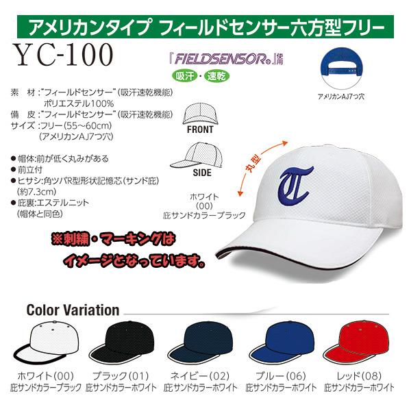 YC-100