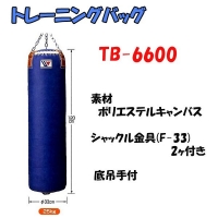 TB-6600